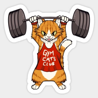 fitness gym cat furry Sticker